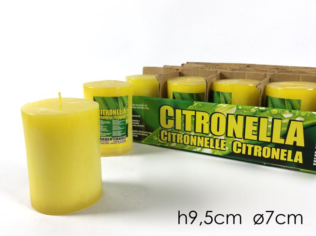 8015361542245 CITRONELLA IN CERO IN DISPLAY CM.9.5 537819 GENERAL